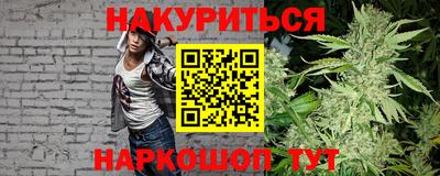 сатива Будённовск