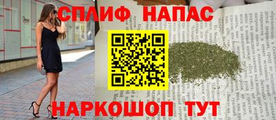 сатива Будённовск
