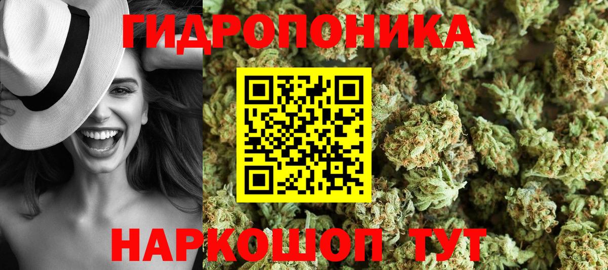Бошки Шишки план Подольск